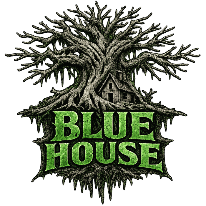 Blue House by Bluebird Media